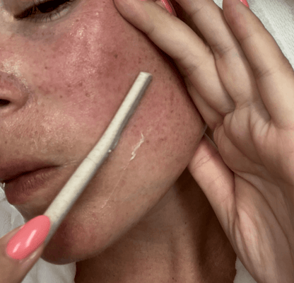 Wildpier™ Everything Bundle